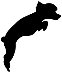 dog-sil-12