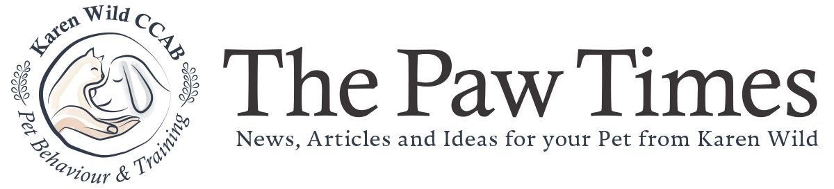 blog-masthead-3