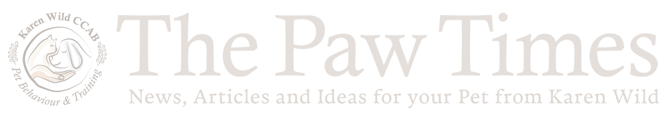 paw-times-light