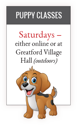 puppy-classes-signboard-2