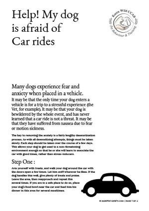 why are dogs afraid of cars